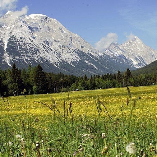 Bergidyll & Hotel Trofana