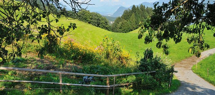 Gasthof Rieder