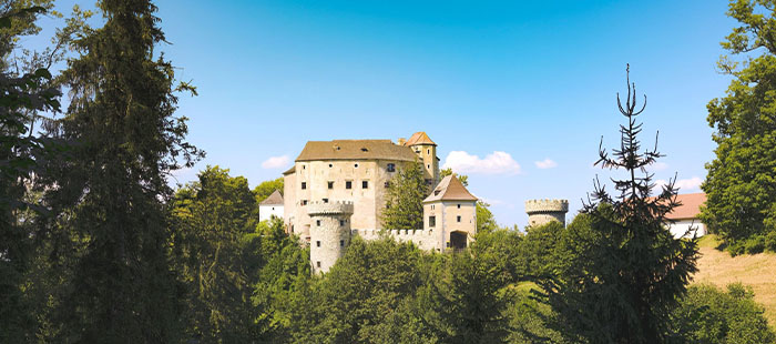 Burg Plankenstein