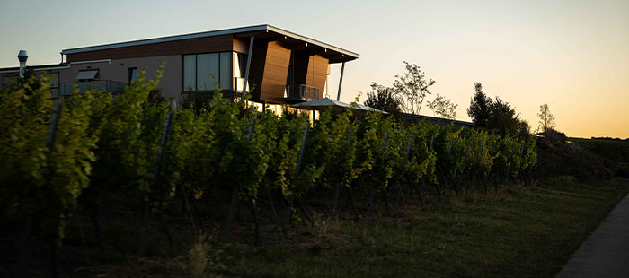 Weinzuhause Hotel - Restaurant - Vinothek