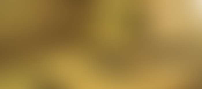 Christkindlwirt Wellness