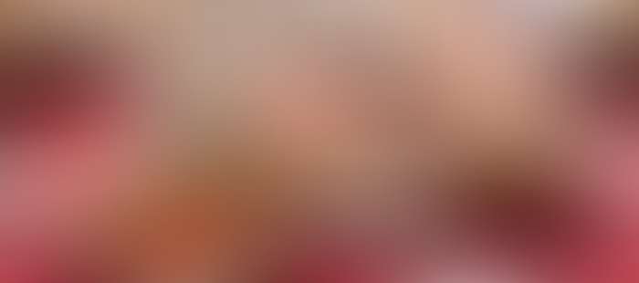 Ambassador Fruehstueck