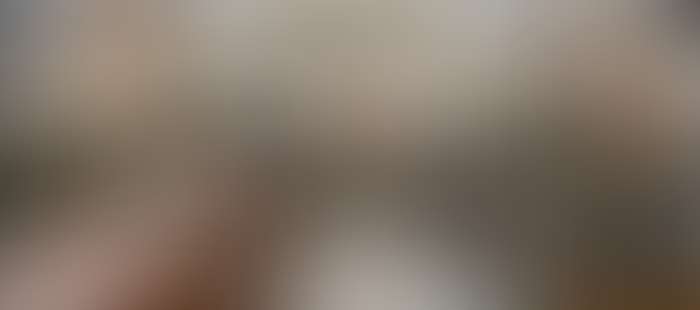 Ambassador Restaurant2