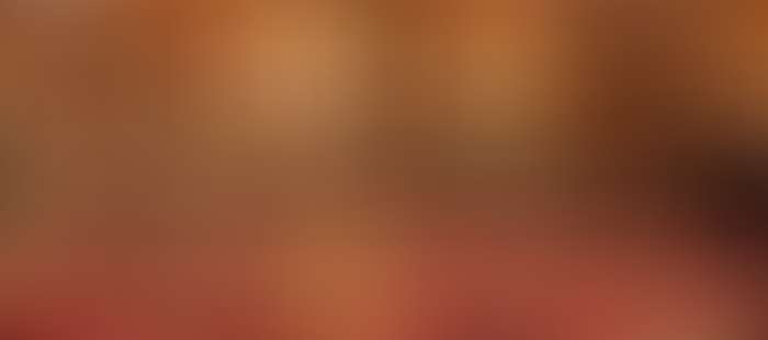 Ambassador Restaurant3