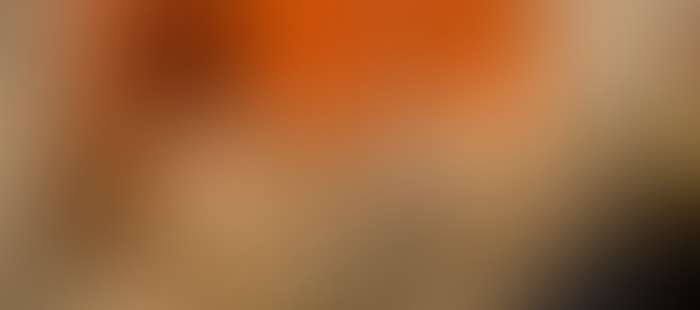 Admiralpalace Ruheraum