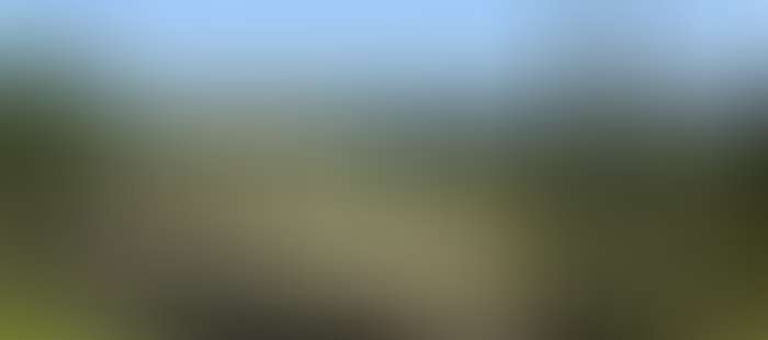 Admiralpalace Umgebung6