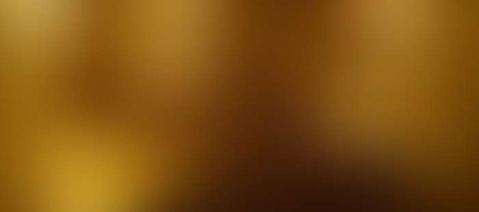 Admiralpalace Wellness Sauna