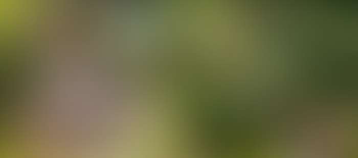 Rosenau Hotel Panorama