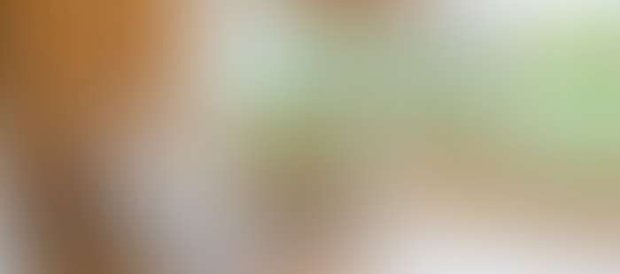 Rosenau Wellness Ruheraum2