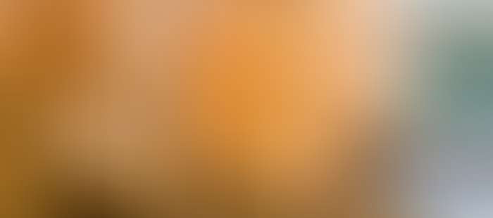 Rosenau Wellness Sauna2