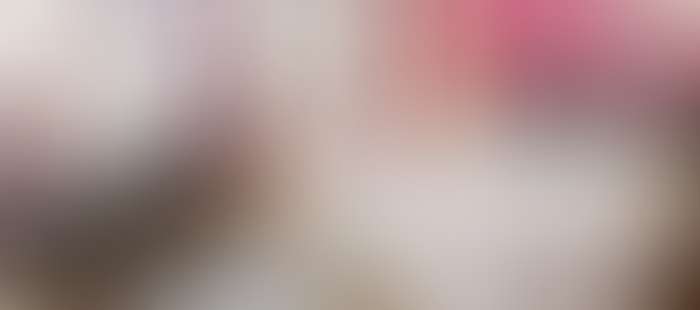 Rosenau Zimmer Gutshof