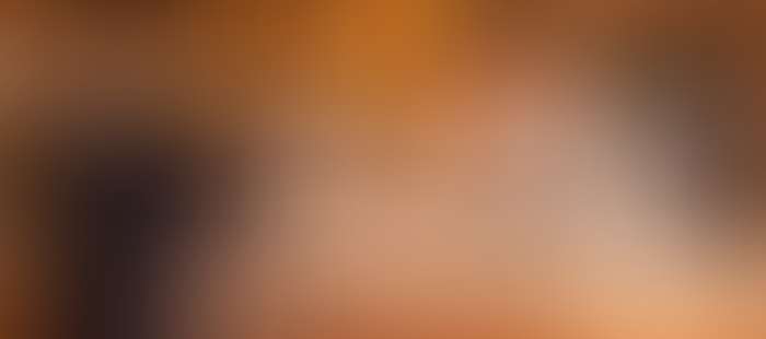 Reussenstein Rezeption