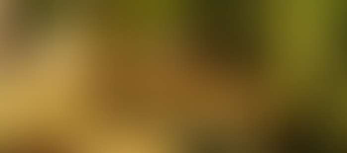 Reussenstein Wellness