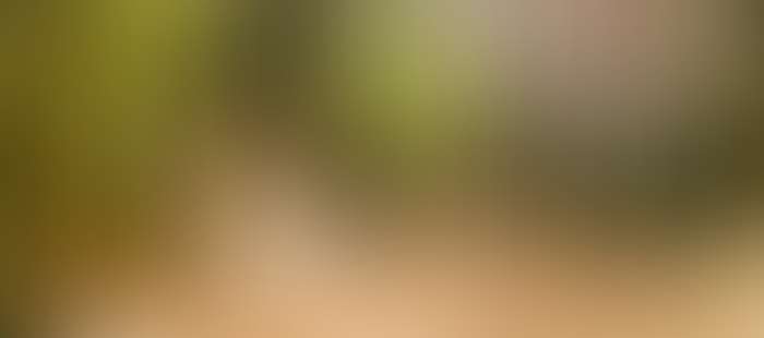 Reussenstein Wellness2