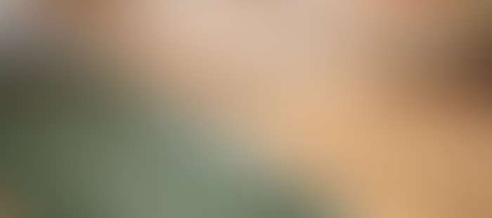 Reussenstein Wellness Barfusspark2