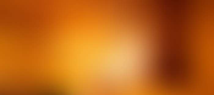 Reussenstein Wellness Sauna