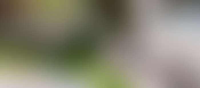 Rosskopf Garten Lounge