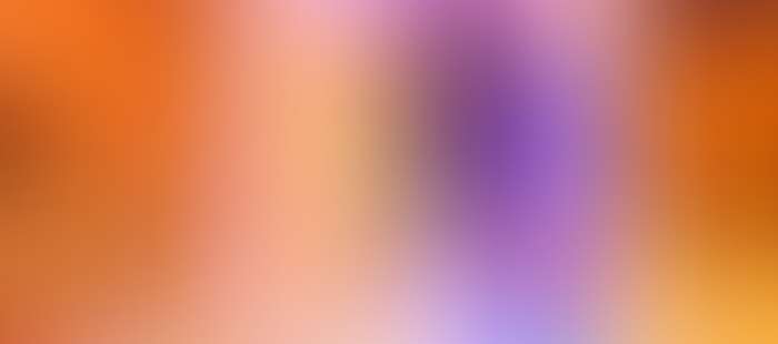 Rosskopf Wellness Sauna3