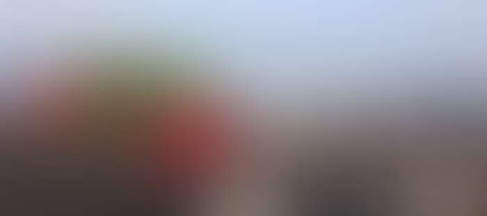 Baabe Umgebung Strand Blumen