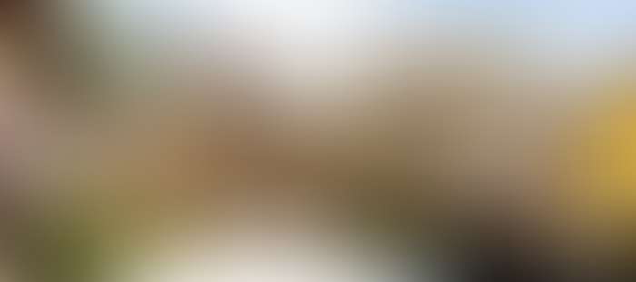 Erlebnishotel Hotel8