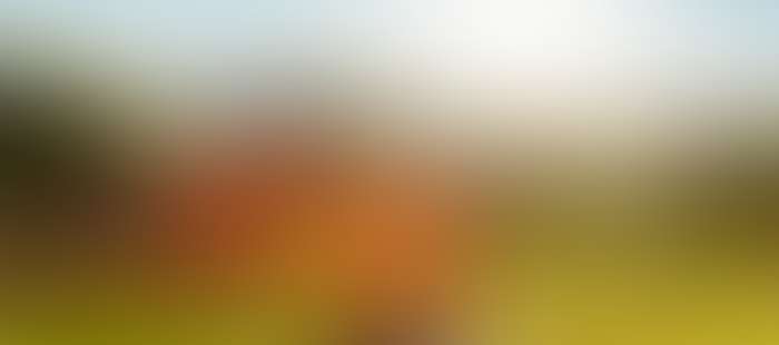 Erlebnishotel Kulinarik Drink