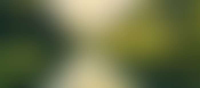 Erlebnishotel Umgebung See