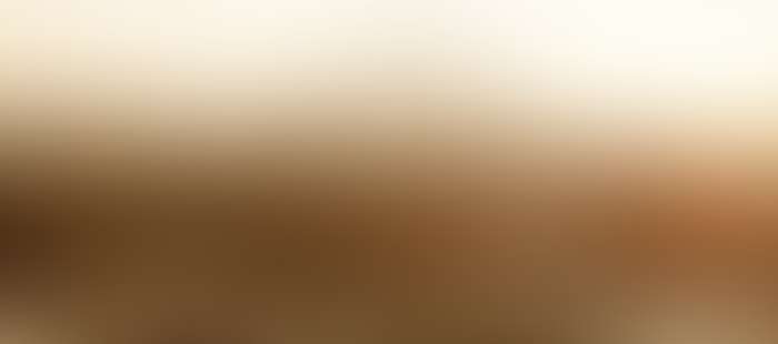 Wien Wiener Prater Riesenrad