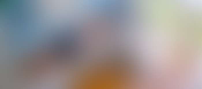 Kantor Chalet Bluefreedom