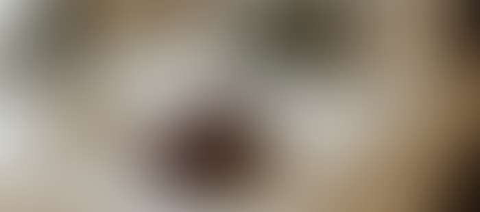 Kantor Chalet Joseph