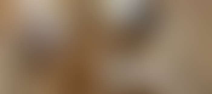 Kantor Chalet Principessa